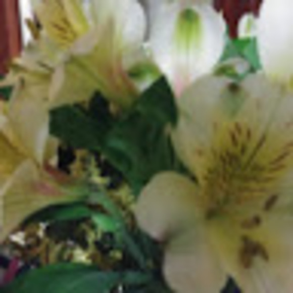 Meet your Posher, Al - Picture 1 of 1